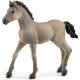 Schleich - Horse Club - 13949 Criollo Definitivo Fohlen