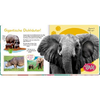 Coppenrath - Fühl mal hier, kennst du das Tier? Wilde Tiere (A)