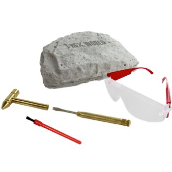 Die Spiegelburg - T-Rex World - Ausgrabungsset T-Rex (2)