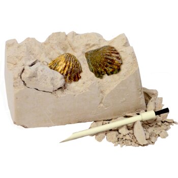 Die Spiegelburg - T-Rex World - Mini-Ausgrabungsset...