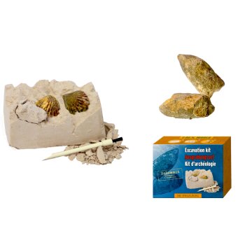 Die Spiegelburg - T-Rex World - Mini-Ausgrabungsset Fossilien, sort. (16)