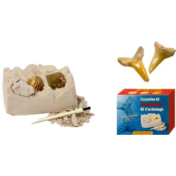 Die Spiegelburg - T-Rex World - Mini-Ausgrabungsset Fossilien, sort. (16)