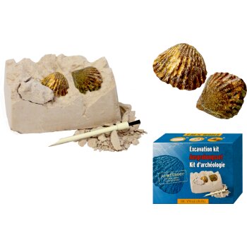 Die Spiegelburg - T-Rex World - Mini-Ausgrabungsset Fossilien, sort. (16)