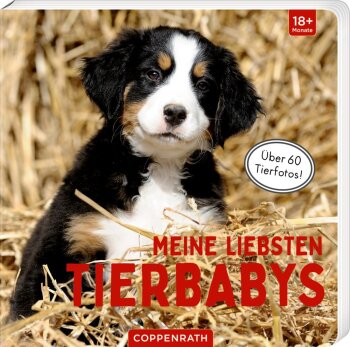 Coppenrath - Meine liebsten Tierbabys (A)