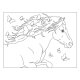 Coppenrath - Pferdefreunde - Glitzersticker-Malbuch (5)