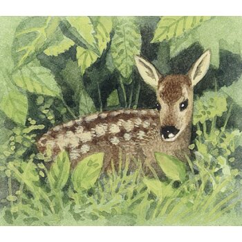 Coppenrath - Adventskalender - Tiere im Winter (A)