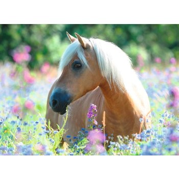 Ravensburger - Pferd im Blumenmeer PUZZLE (300 TEILE)