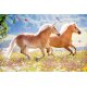 Die Spiegelburg - Puzzle - 54 Teile - ab 5 Jahre - Pferdefreunde, sort. (12)