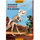Die Spiegelburg - T-Rex World - Skelett-Bausatz Tyrannosaurus Rex (A)
