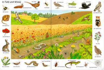 Coppenrath - Bilder suchen - Wörter finden: So viele Tiere (A)