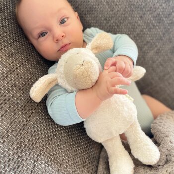 sigikid - Kuscheltier Schaf - Weiß, 27 cm
