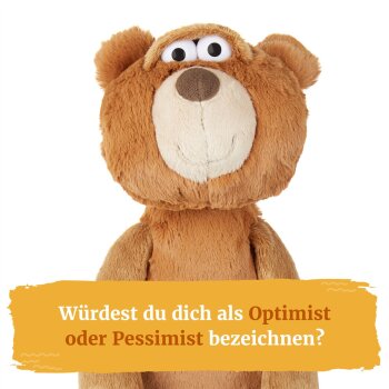 sigikid - Kuscheltier Bär Sweety mit Mimik - Braun