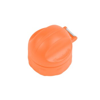 sigikid - Edelstahl-Trinkflasche Löwe, 250ml