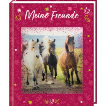 Coppenrath - Freundebuch: Meine Freunde (mit 3-D-Bild) -...