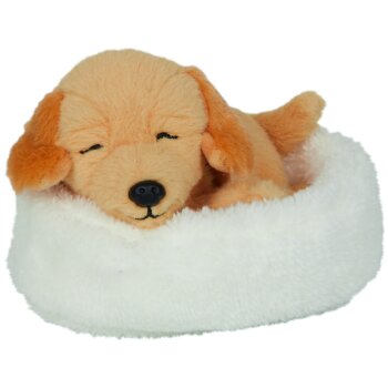 Die Spiegelburg - Lustige Tierparade - Schlafender Hund...