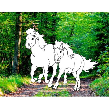 Coppenrath - Pferdefreunde - Traumpferde-Malbuch: Wilde Natur (A)