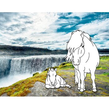 Coppenrath - Pferdefreunde - Traumpferde-Malbuch: Wilde Natur (A)