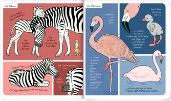 Coppenrath - Fühlen und die Welt begreifen - Mein Fühl-Wörterbuch: Wilde Tiere (A)