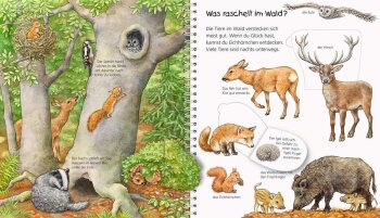 Ravensburger - Wieso? Weshalb? Warum? Mein junior-Lexikon - Tiere
