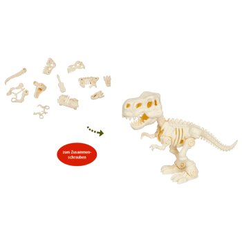 Die Spiegelburg - T-Rex Skelett (zum Zusammenschrauben) -...