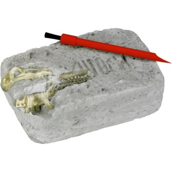 Die Spiegelburg - T-Rex World - Ausgrabungsset T-Rex (4)