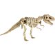 Die Spiegelburg - T-Rex World - Ausgrabungsset T-Rex (4)
