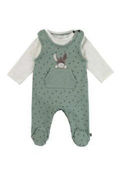 Sterntaler - Strampler-Set Jersey Esel Emmi grün Gr. 56