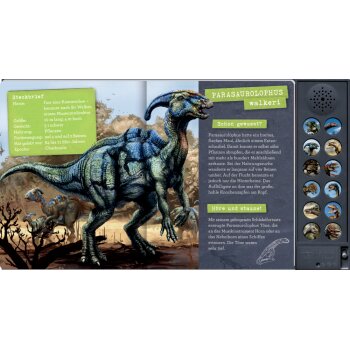 Coppenrath - T-Rex World - Das große Dinosaurier-Soundbuch