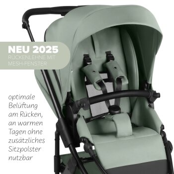 ABC-Design - 2-in-1 Kombikinderwagen Salsa 5 Air Pine