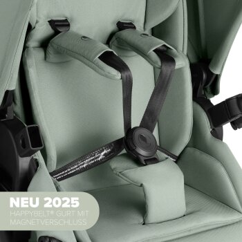 ABC-Design - 2-in-1 Kombikinderwagen Salsa 5 Air Pine