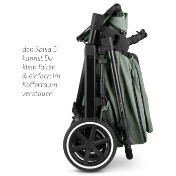 ABC-Design - 2-in-1 Kombikinderwagen Salsa 5 Air Pine