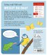 Coppenrath - Fühlen und die Welt begreifen - Mein Fühl-Wörterbuch: In der Natur (A)