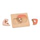 Lässig - Puzzle aus Holz - ab 2 Jahre - Little Mateys Katze (A)