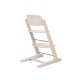CYBEX - Gold IRIS Hochstuhl 3 in 1 Set (ALL-NATURAL)