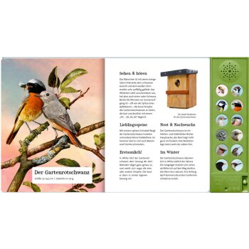 Coppenrath - Was singt und summt im Apfelbaum? -...