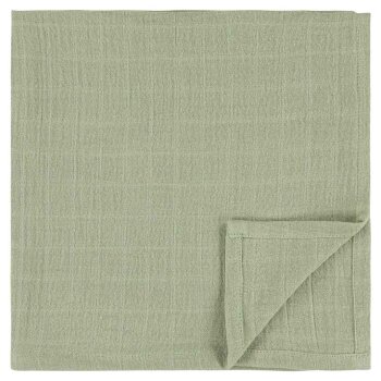 Trixie - Daring Dino Mulltücher 3 Stück 55 x 55 cm (3)