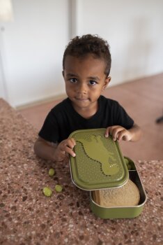 Trixie - Mr. Dino Brotdose groß