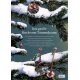 Coppenrath - Nature Zoom - Das große Buch vom Tannenbaum