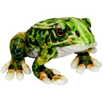 Die Spiegelburg - Nature Zoom "Wild" - Frosch