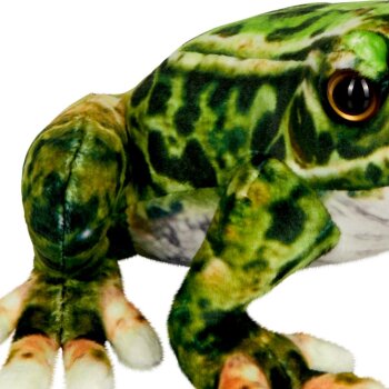 Die Spiegelburg - Nature Zoom "Wild" - Frosch