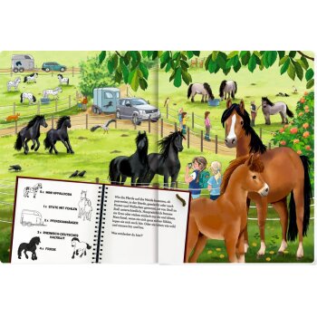 Coppenrath - Mein riesengroßes WimmelSuchBuch:...