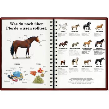 Coppenrath - Mein riesengroßes WimmelSuchBuch: Pferde & Ponys