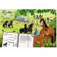 Coppenrath - Mein riesengroßes WimmelSuchBuch: Pferde & Ponys