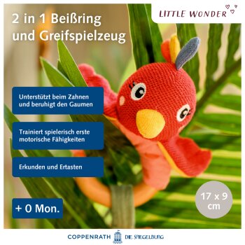 Die Spiegelburg - Little Wonder - Holz-Ringrassel...