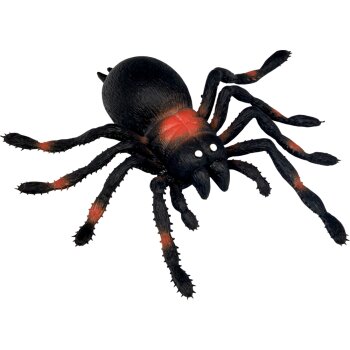 Die Spiegelburg - Wild+Cool - Kellerspinne (10)