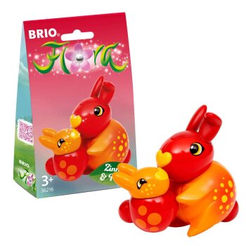 BRIO - Flora - Zinnia & Peach