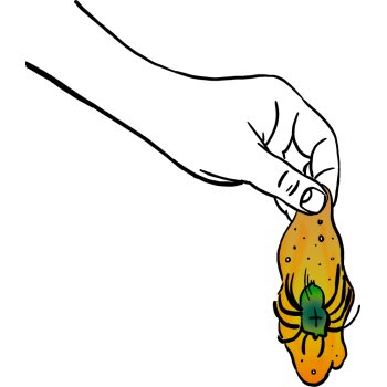 Die Spiegelburg - Wild+Cool - Glibberiges Spinnen-Ei, sort. (12)