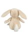 Sterntaler - Kuscheltier M Hase Hanni (2)