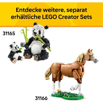 LEGO - Creator - 31173 Wilde Tiere: Tropischer Tukan