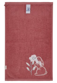 Sterntaler - Geschenkset mit Schmusetuch & Handtuch Hase Hanni (2)